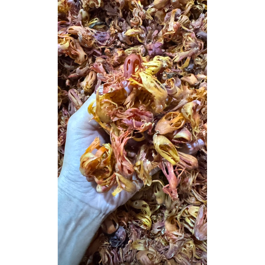 

BUNGA PALA , FULI , MACE , REMPAH REMPAH, BUMBU DAPUR