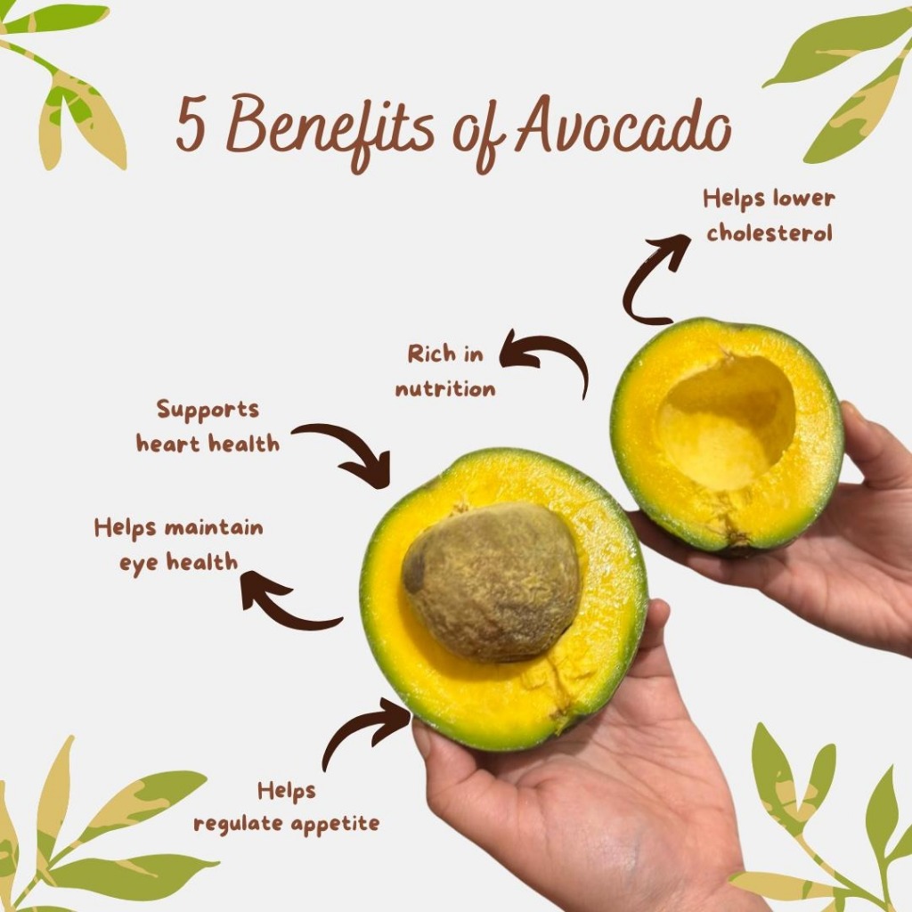 

Alpukat Cipedak Miki - Alpukat Cipedak Miki Lezat Bergizi Kulit Tipis Tidak Berserat