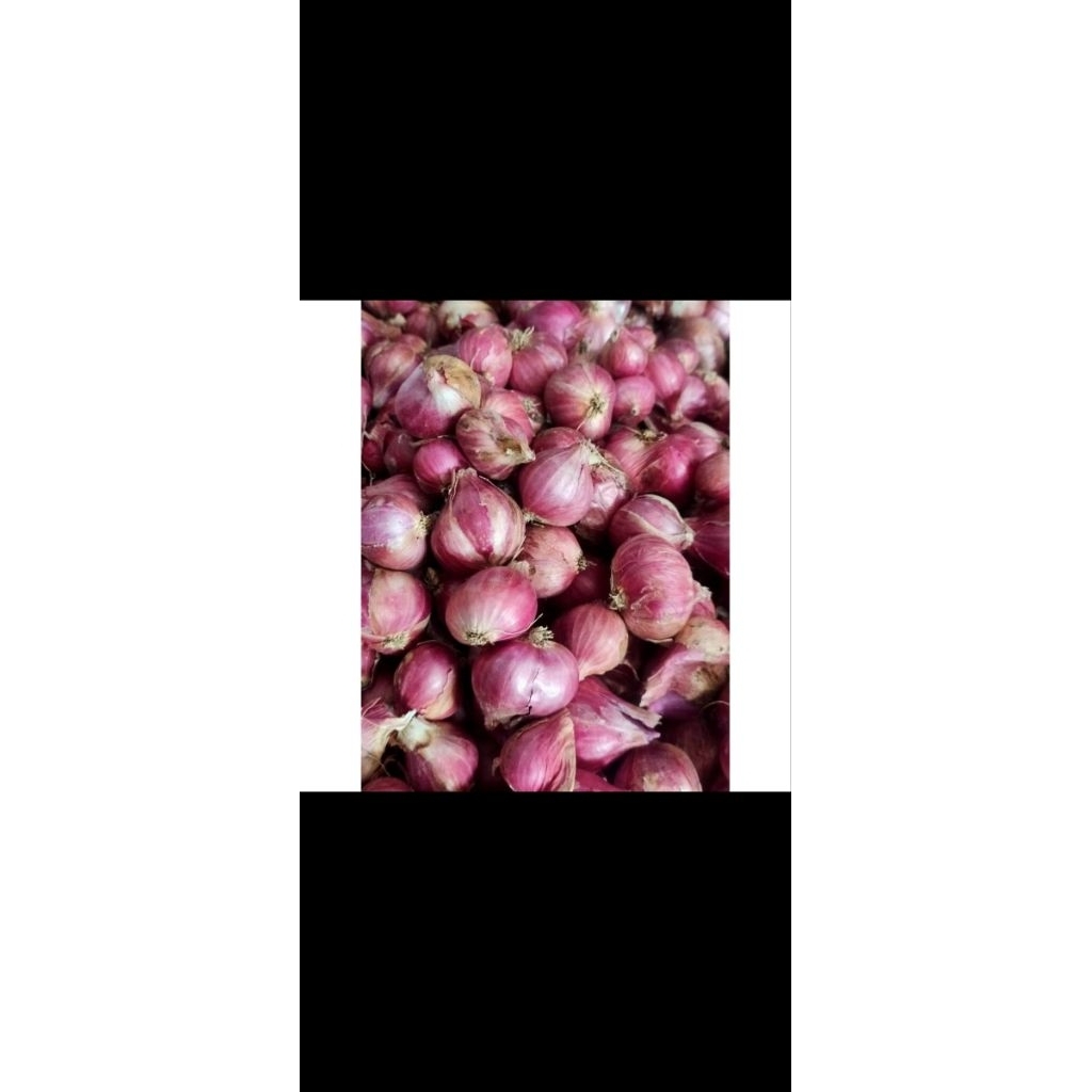 

BAWANG MERAH FRESH 1/2 KG (500GRAM)