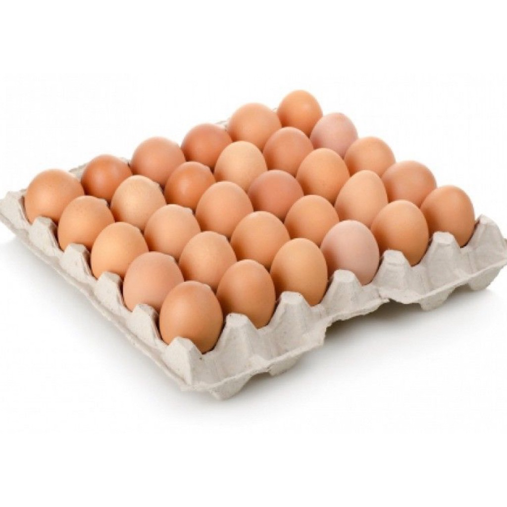 

TELUR OMEGA PREMIUM GRADE A 1 TRAY 30 PCS