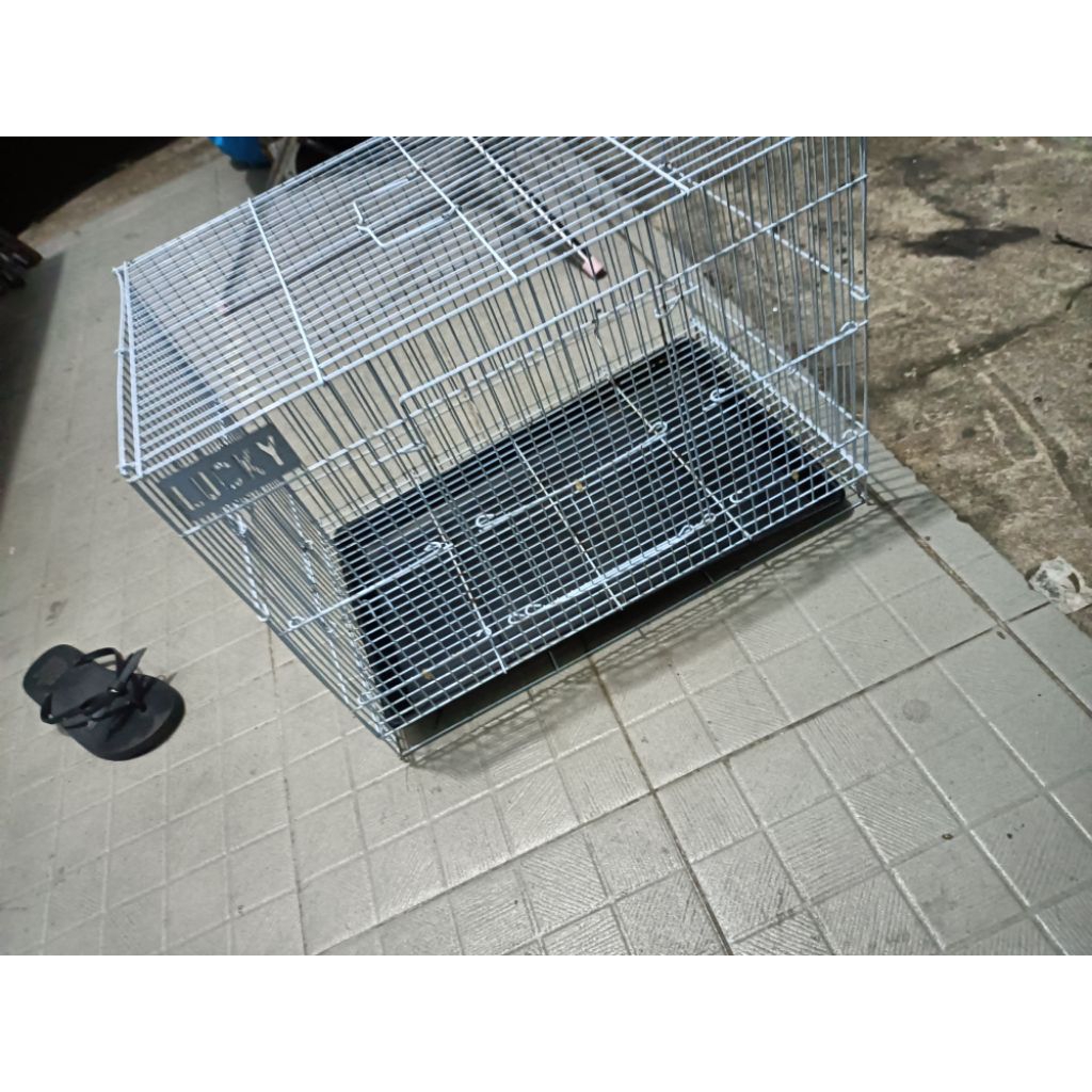 Kandang lipat ukuran 50cm x 31 x 36 cm umbaran Merek lucky kondisi second hand  65% - 99% sesuai Pil