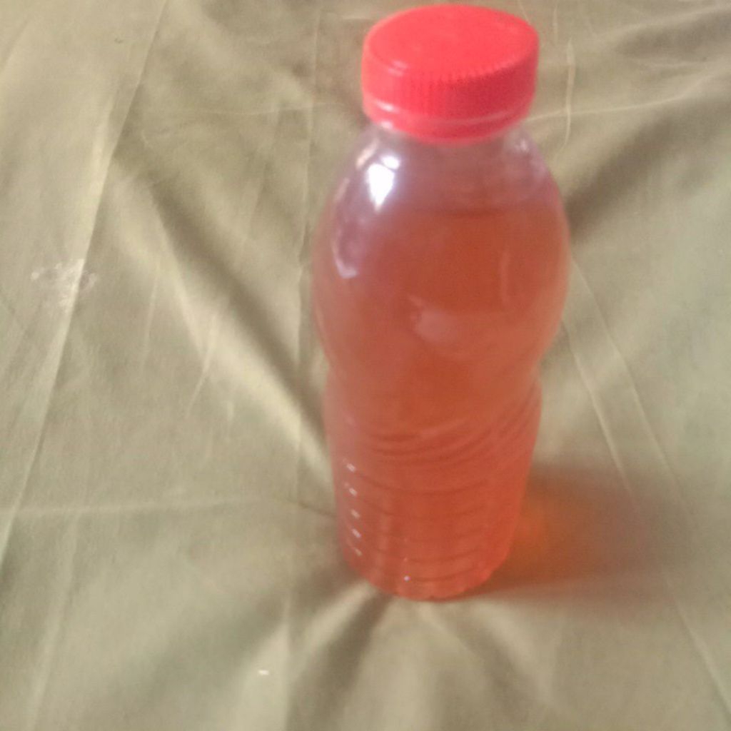 

madu asli kalimantan