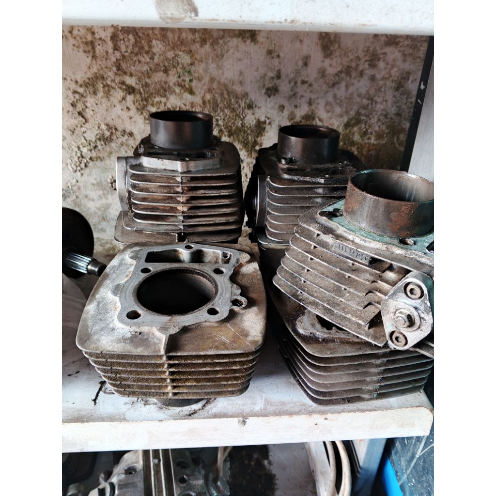 blok MP Tiger jaguar