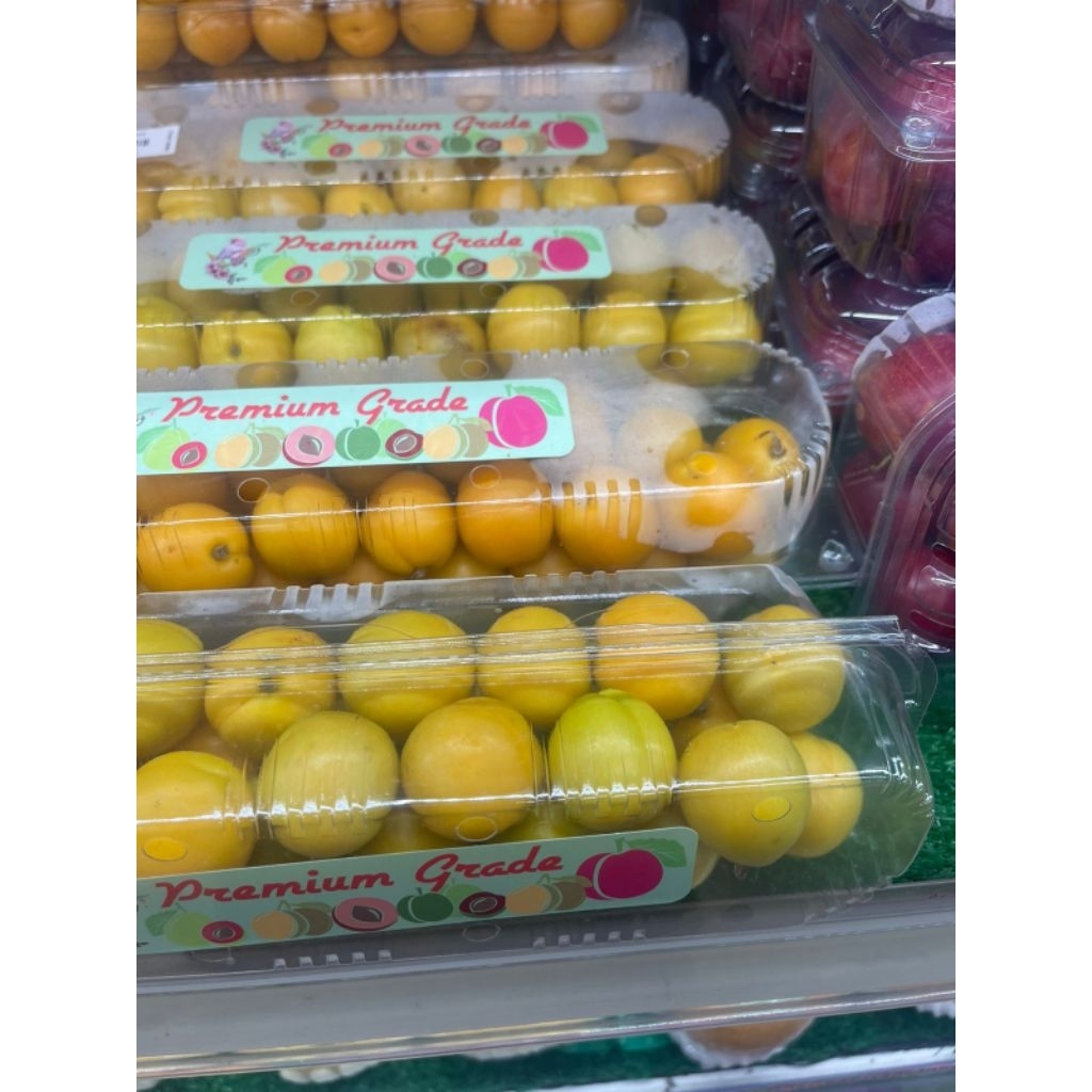 

Buah Apricot Fresh Segar Premium/ pack