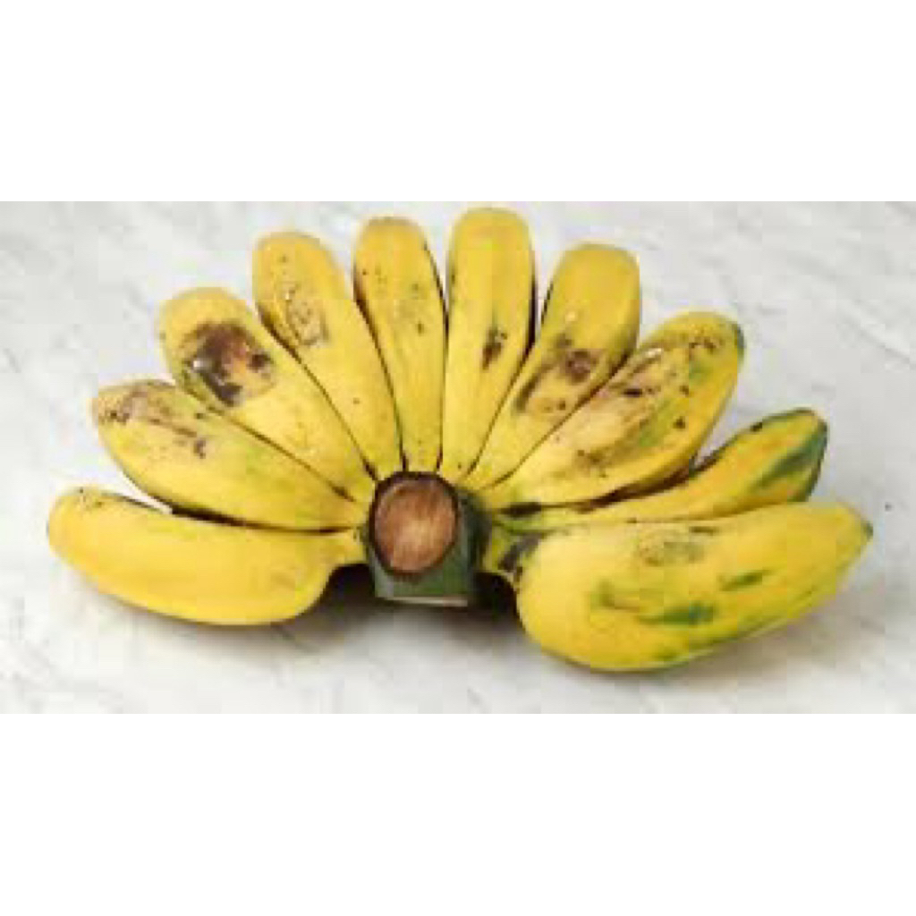 

Pisang Kepok 1sisir