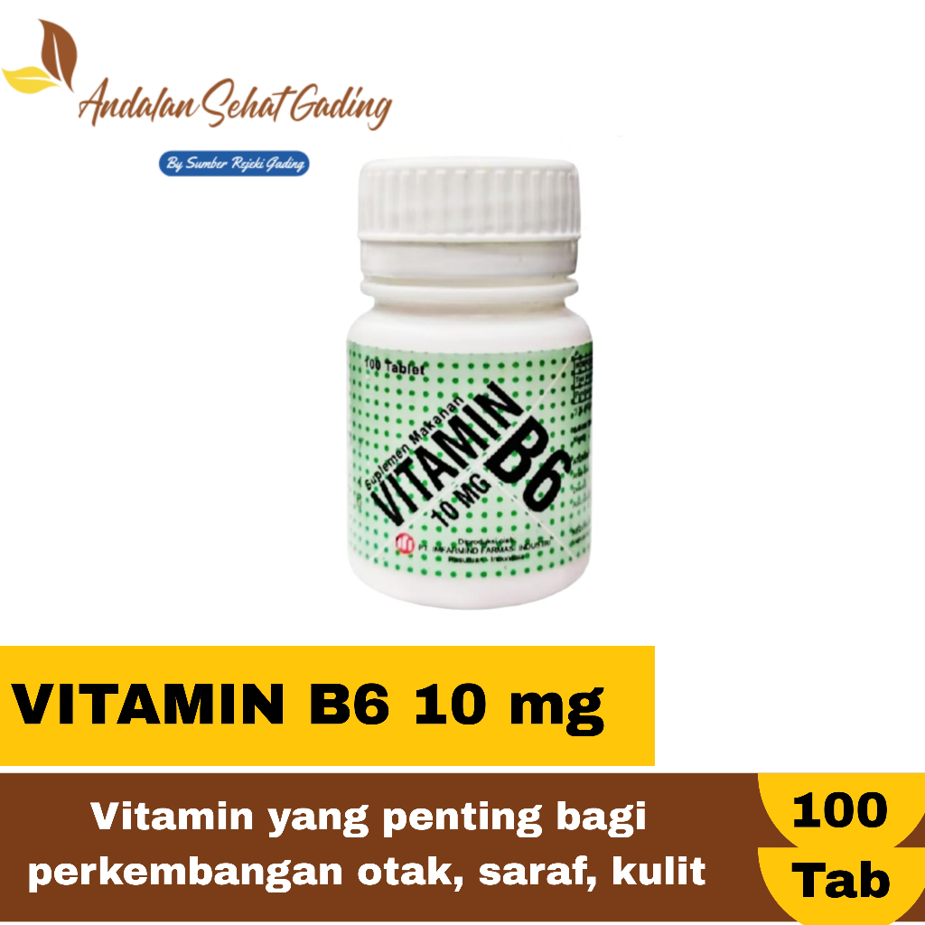 Vitamin B6 Botol Isi 100 Tablet Infarmind