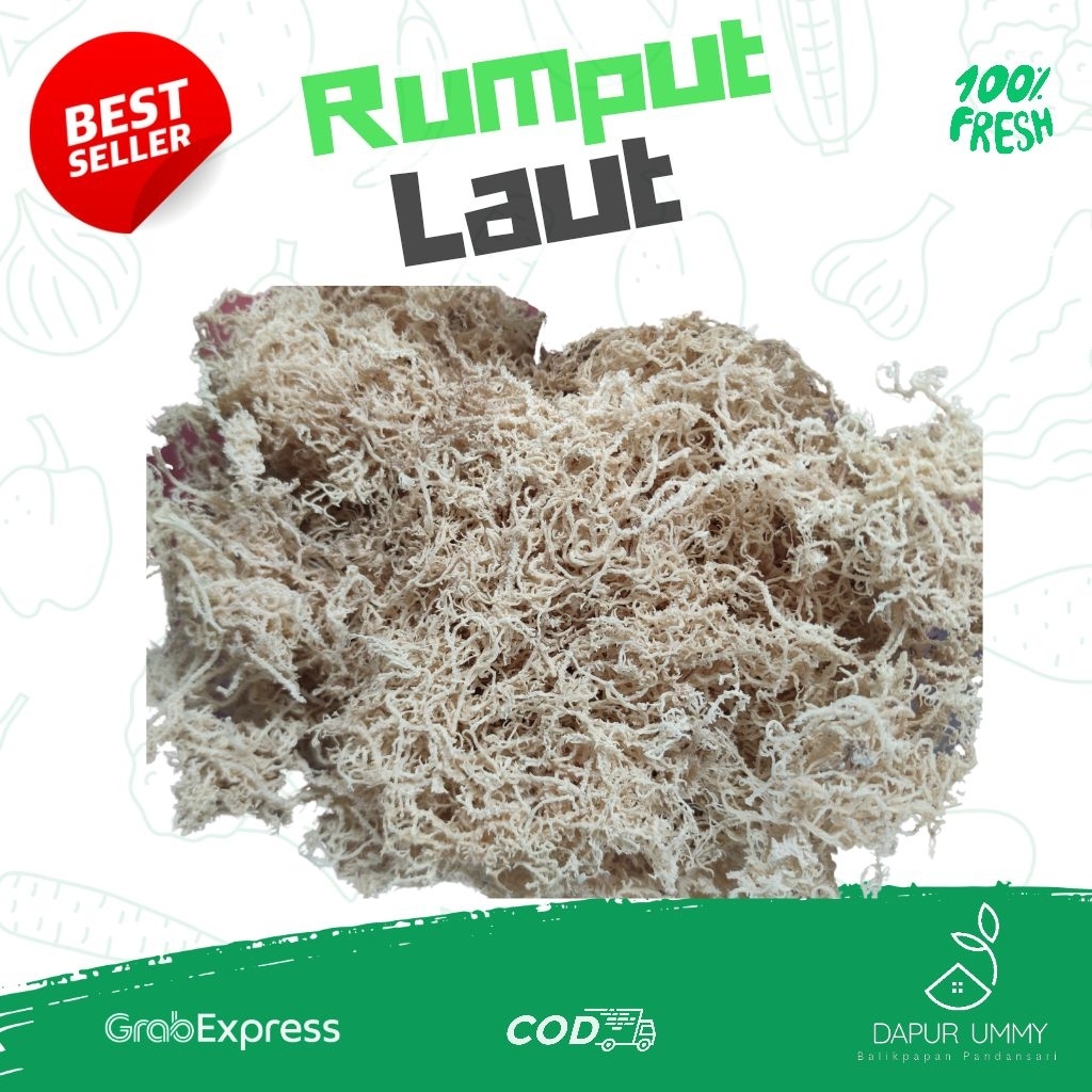 

RUMPUT LAUT • Rumput Laut Kering 100gr - 250gr