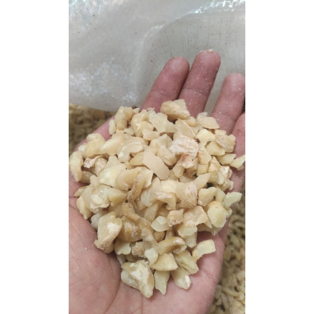 

Kemiri Menir Besar | Super Bersih