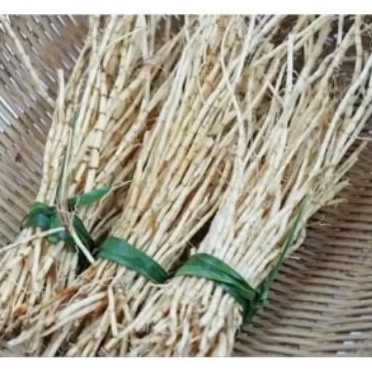 

Akar alang alang segar bersih 1 kg isi banyak