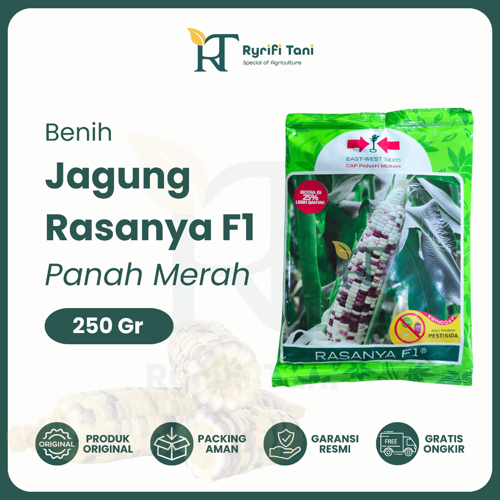 Panah Merah - Benih Jagung Ketan Pulut Manis RASANYA F1 250 Gram Cap Panah Merah