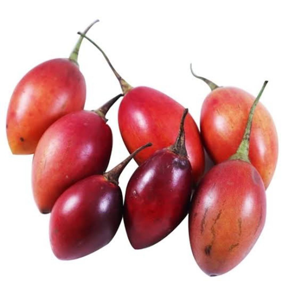 

Terong Belanda 500 Gram - Fresh Organik