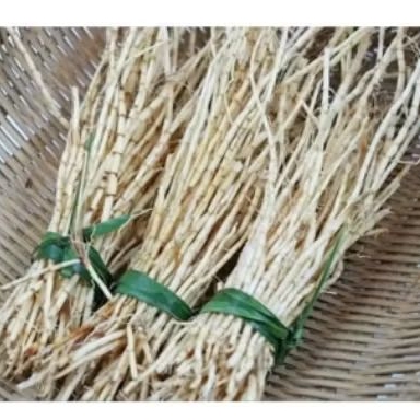 

Akar alang alang fress