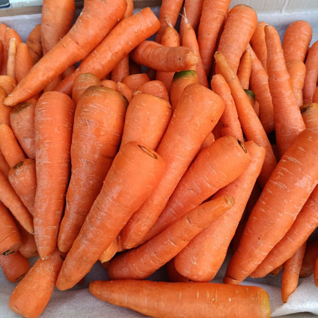 

Wortel Brastagi 1kg / Wortel Segar / Wortel Import