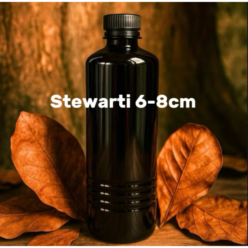 extra ketapang pekat cair Stw