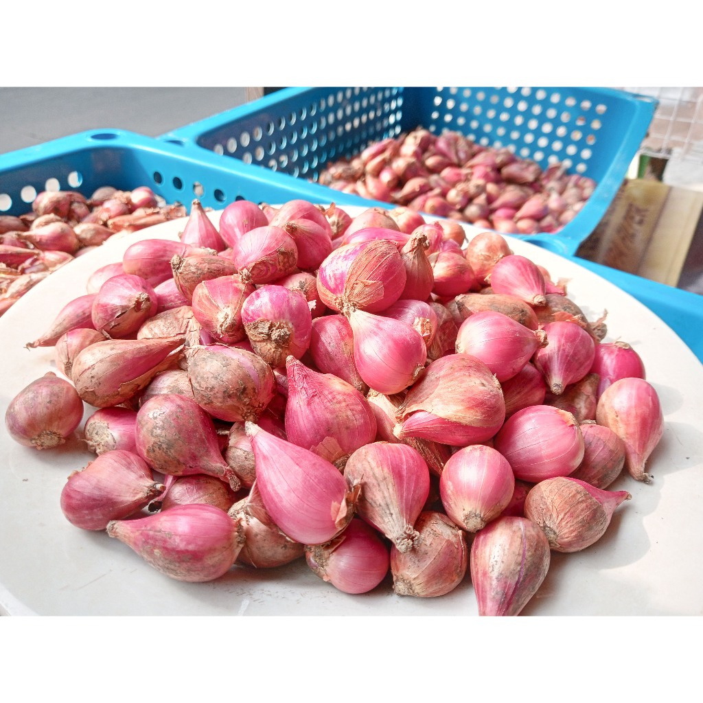 

Bawang Merah Seger 1/4 kg - Ukuran Sedang Rata