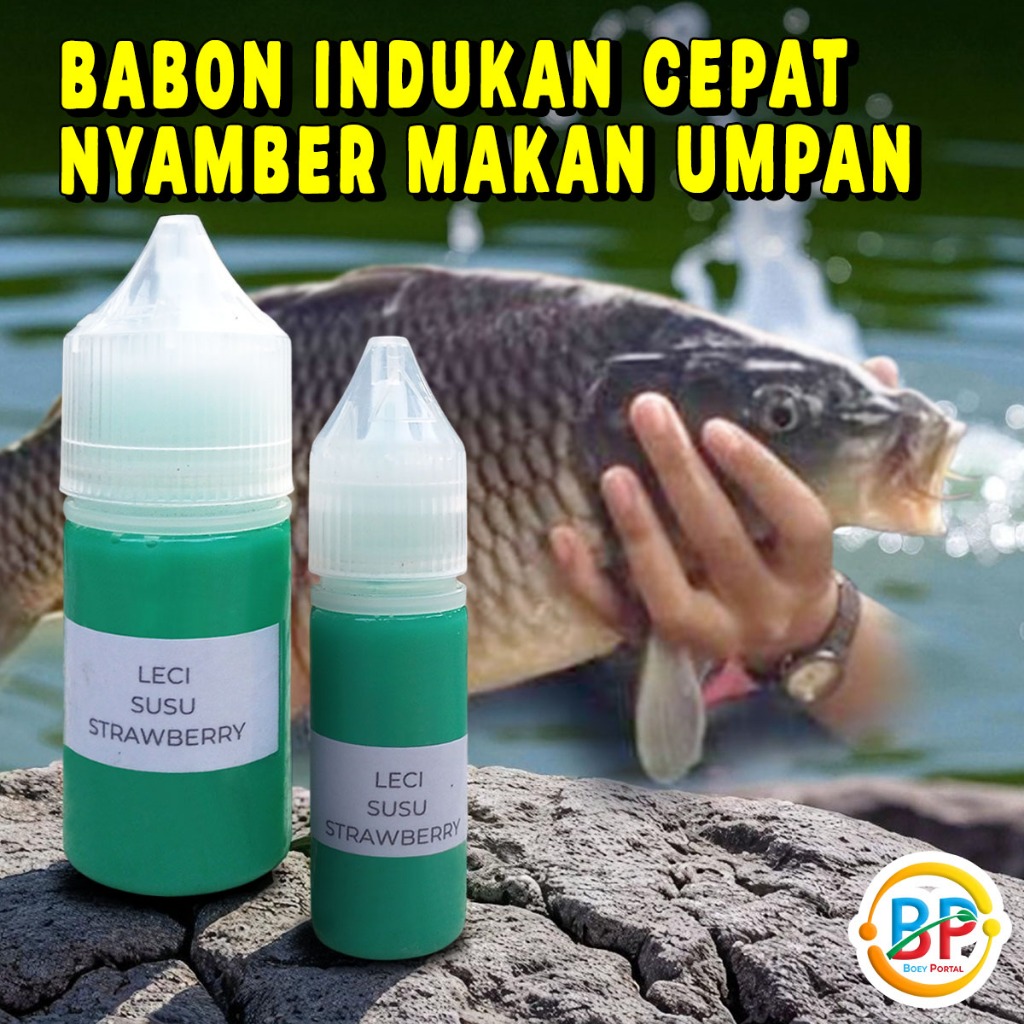 AMPUH Esen Gacor Ikan Mas Leci Susu Strawberry Mancing Harian Lomba Babon Indukan Strike