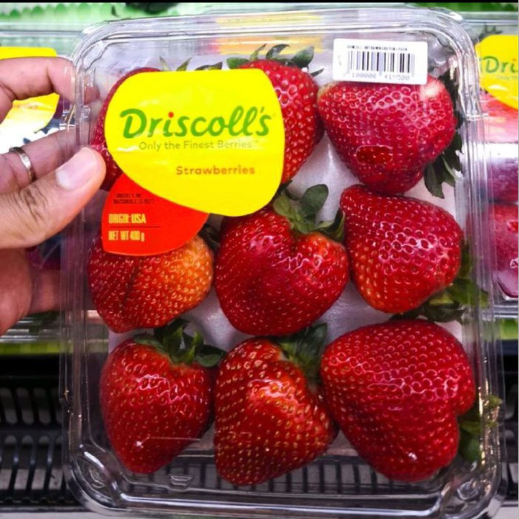 

Buah Strawberry Driscolls Jumbo Fresh / buah strawberry Import 400gr / pack