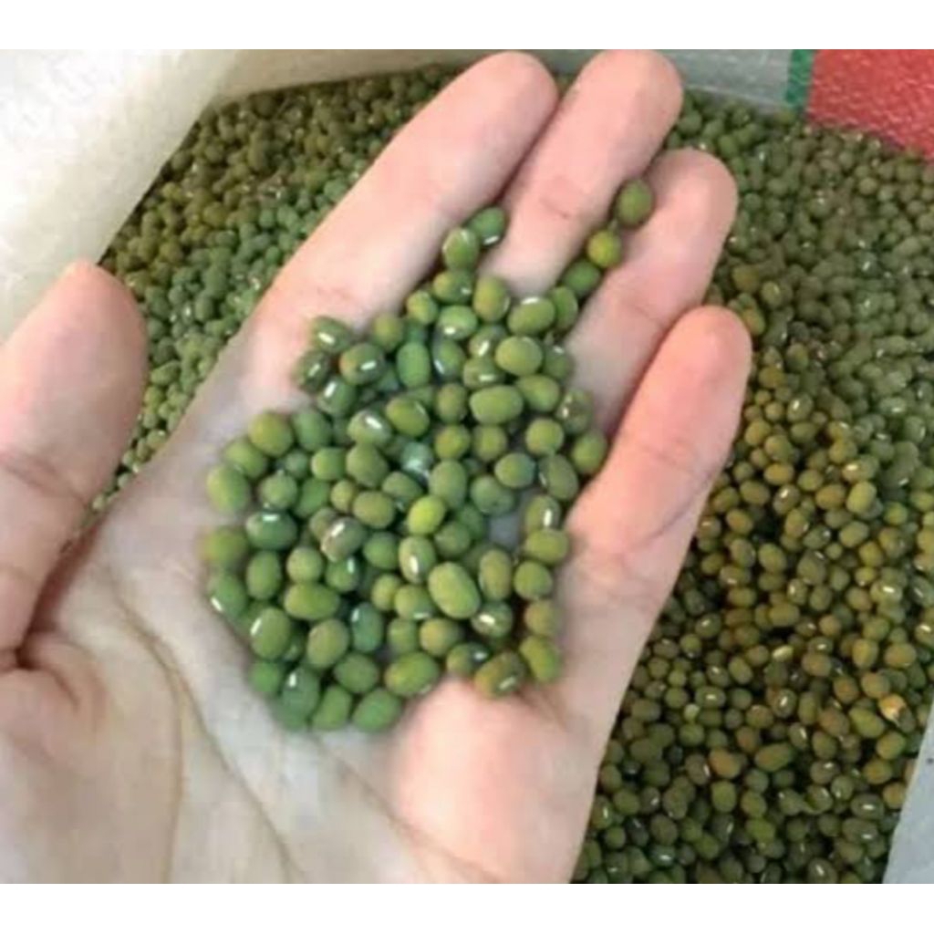 

kacang hijau 1 kg bppn