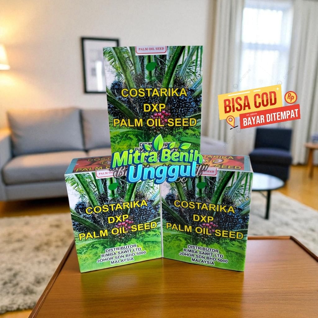 Benih kecambah sawit Costarika isi 250 butir