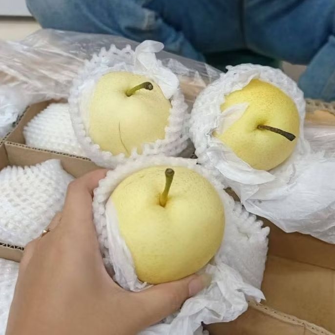 

PEAR MADU CENTURY 1kg