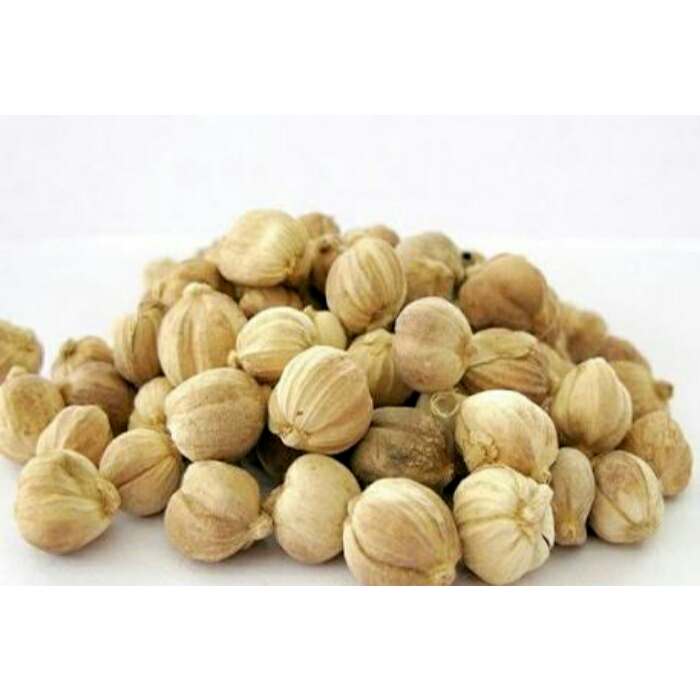 

Kapulaga Jawa Organik Kapulogo Herbal Masakan Rempah Rempah 100gram 100 Gr