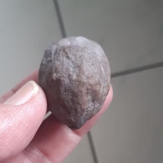 Kemiri Adu Muncang Adu Nyonyo Si Kapsul Ori Full Tua