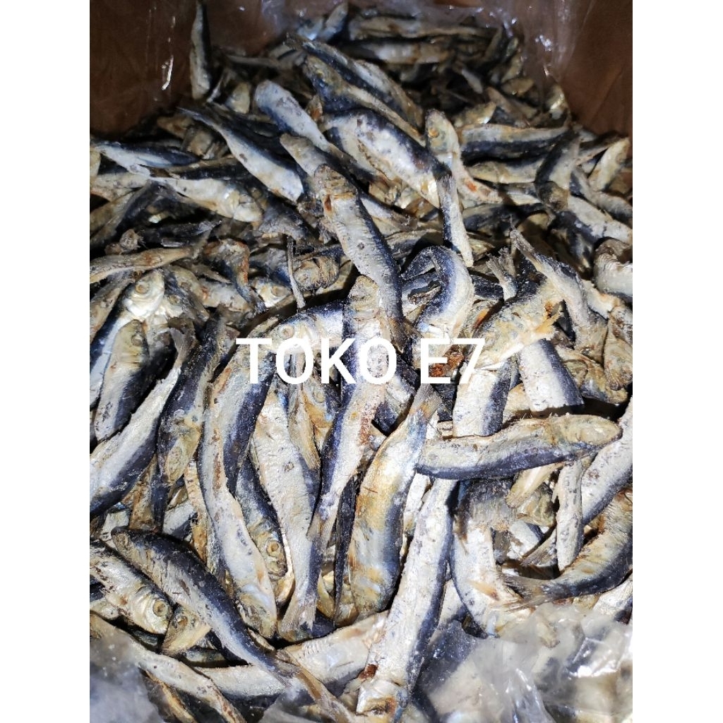 

IKAN ASIN TAMBAN PULAU KHAS PONTIANAK KUALITAS SUPER 500 GRAM
