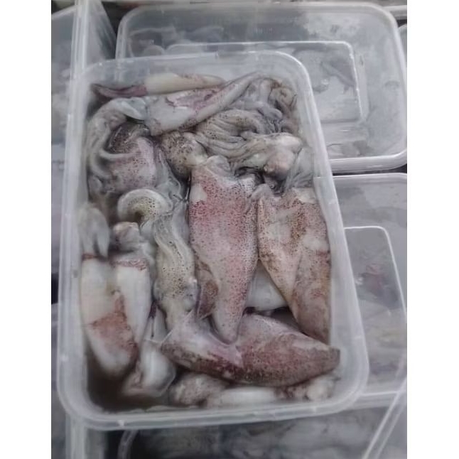 

cumi frozen