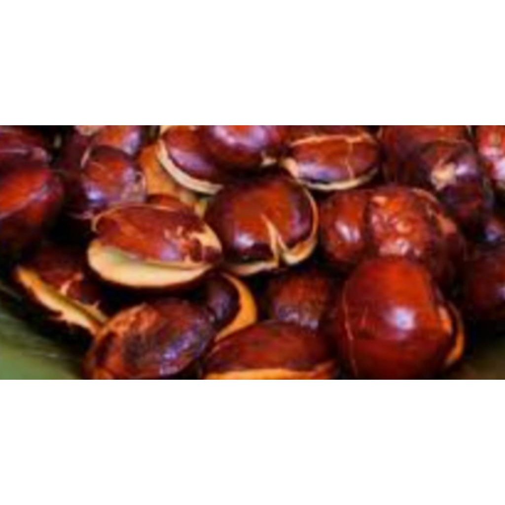 

SEPI JENGKOL SUPER RP 69.000 / KG