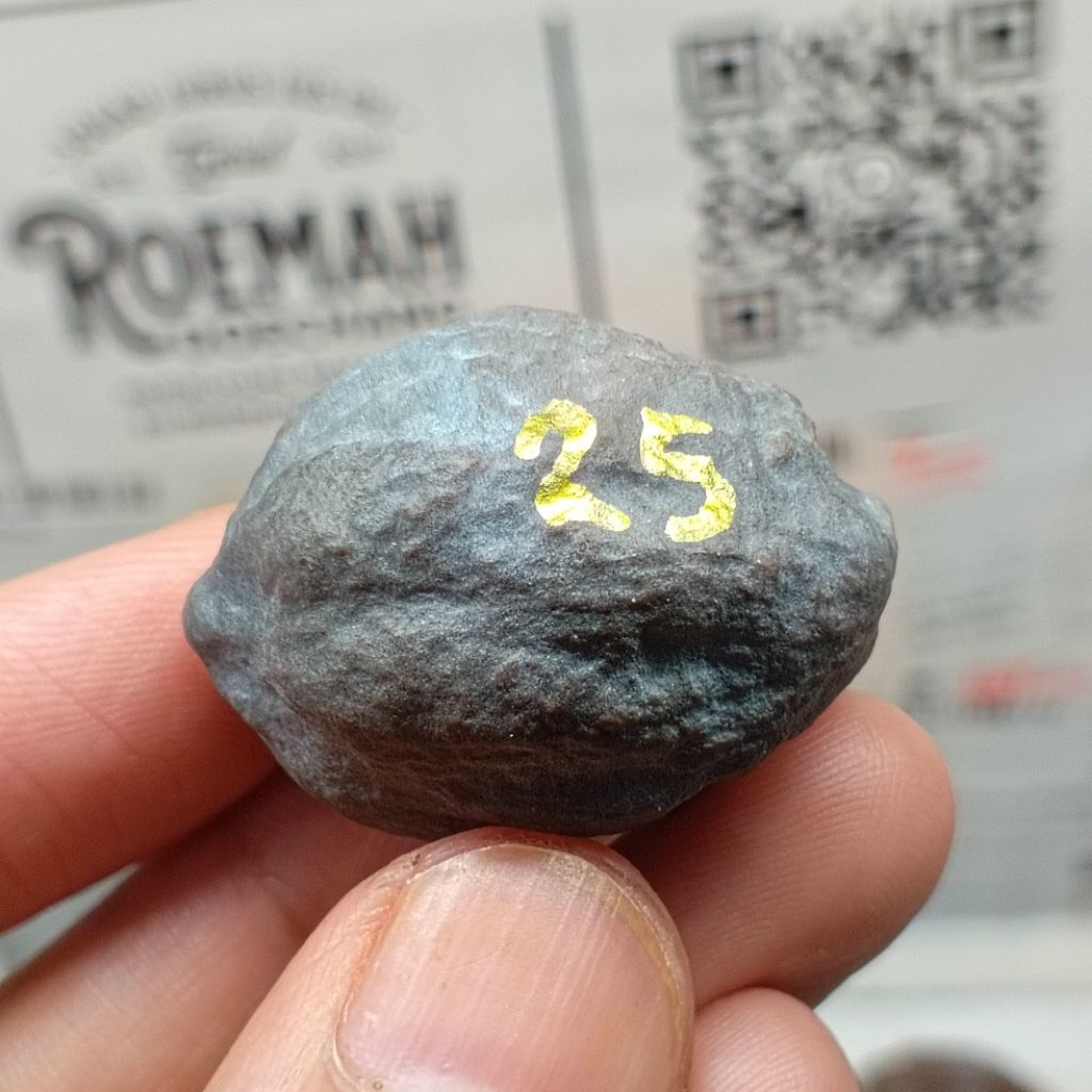 Muncang Adu SB x Manohara kode 25