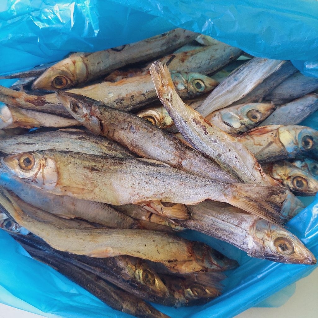 

Ikan Asin Tamban Maco Tamban
