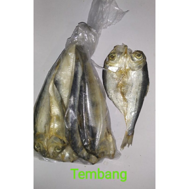

IKAN ASIN MURAH HALAL