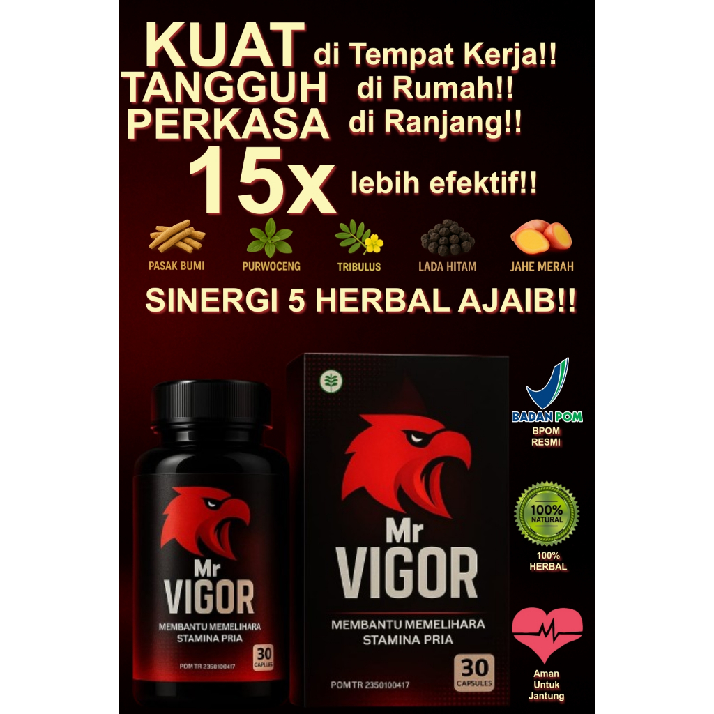 MR VIGOR | Kapsul Obat Kuat Pria Tahan lama herbal lemah syahwat Alami 15x Lebih Efektif BPOM HALAL