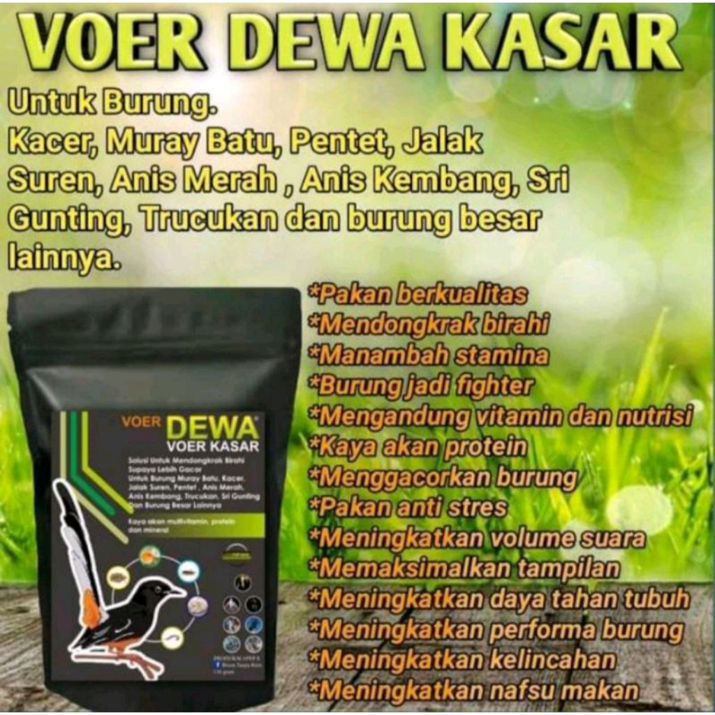 Voer dewa kasar pur burung kicau ocehan ciblek murai kacer pentet anis persatuan saset