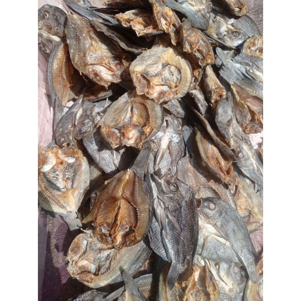 

ikan asin (Tawar)