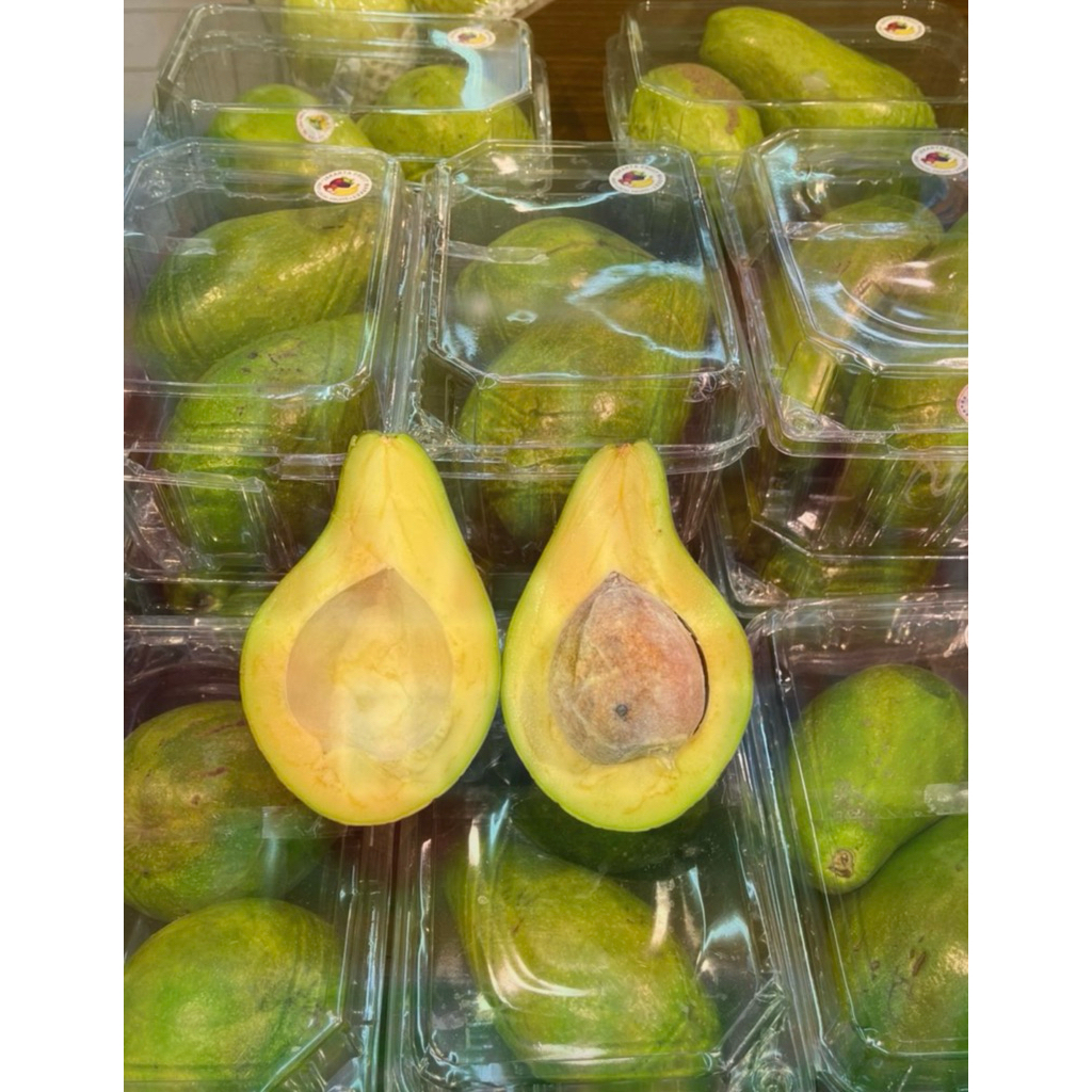 

Alpukat Mentega Sulawesi | Alpukat Mentega Pulen Fresh 1 kg