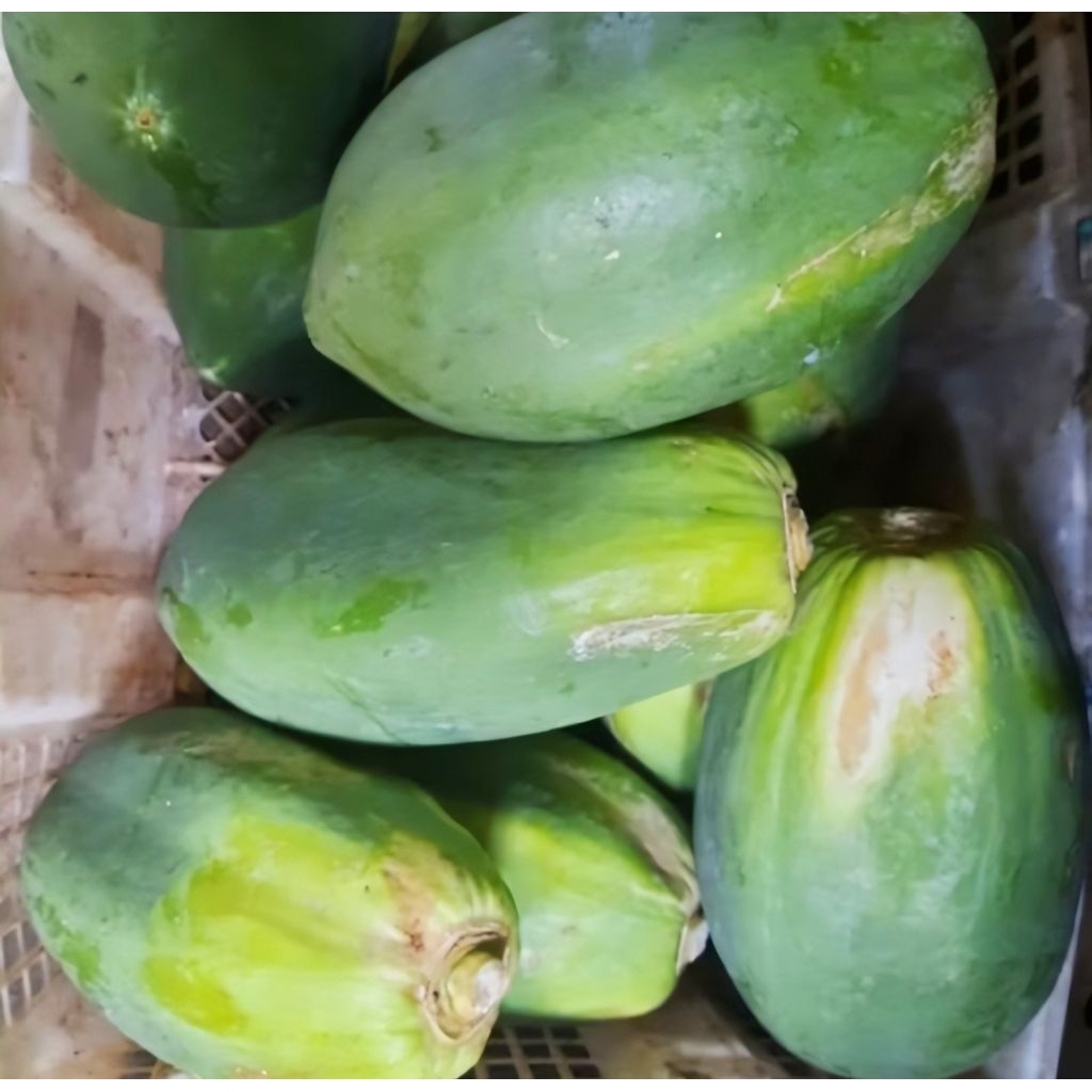 

SAYUR PEPAYA MUDA MENTAH SEGAR FRESH