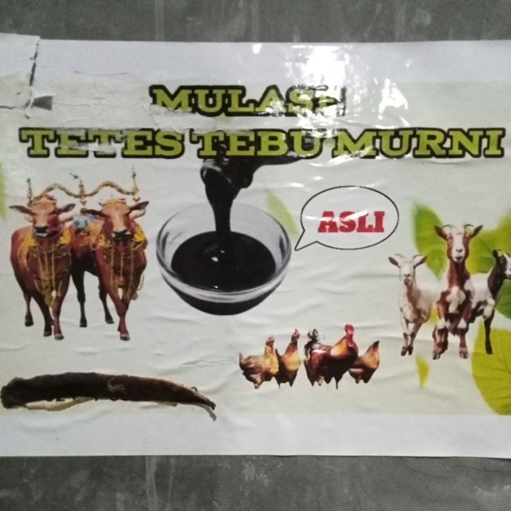 

Mulase tetes tebu murni 100% orignal