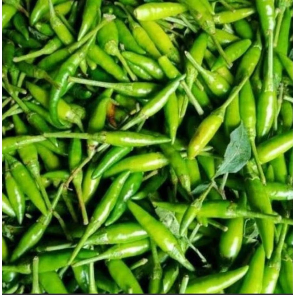 

cabe rawet hijau 250 gram bppn