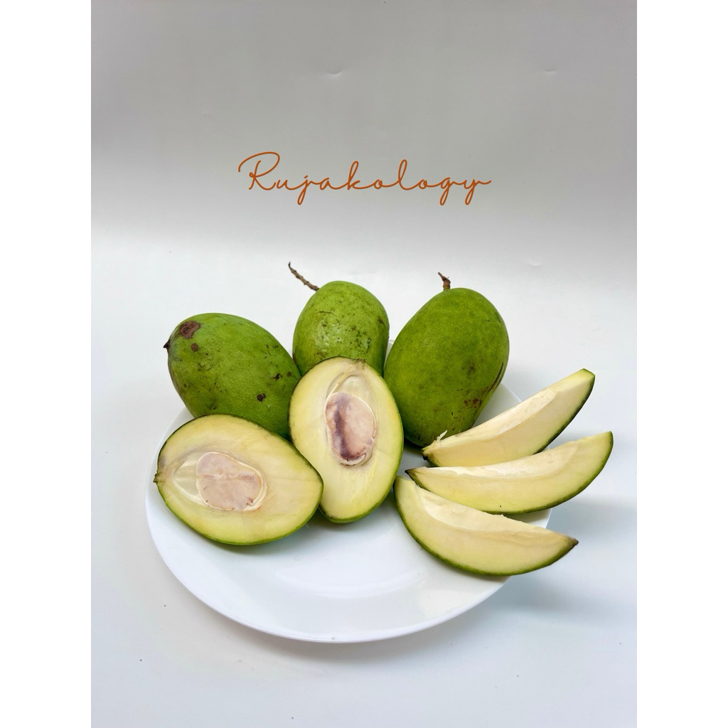 

MANGGA MUDA/RUJAK FRESH BUAH PILIHAN TERBAIK