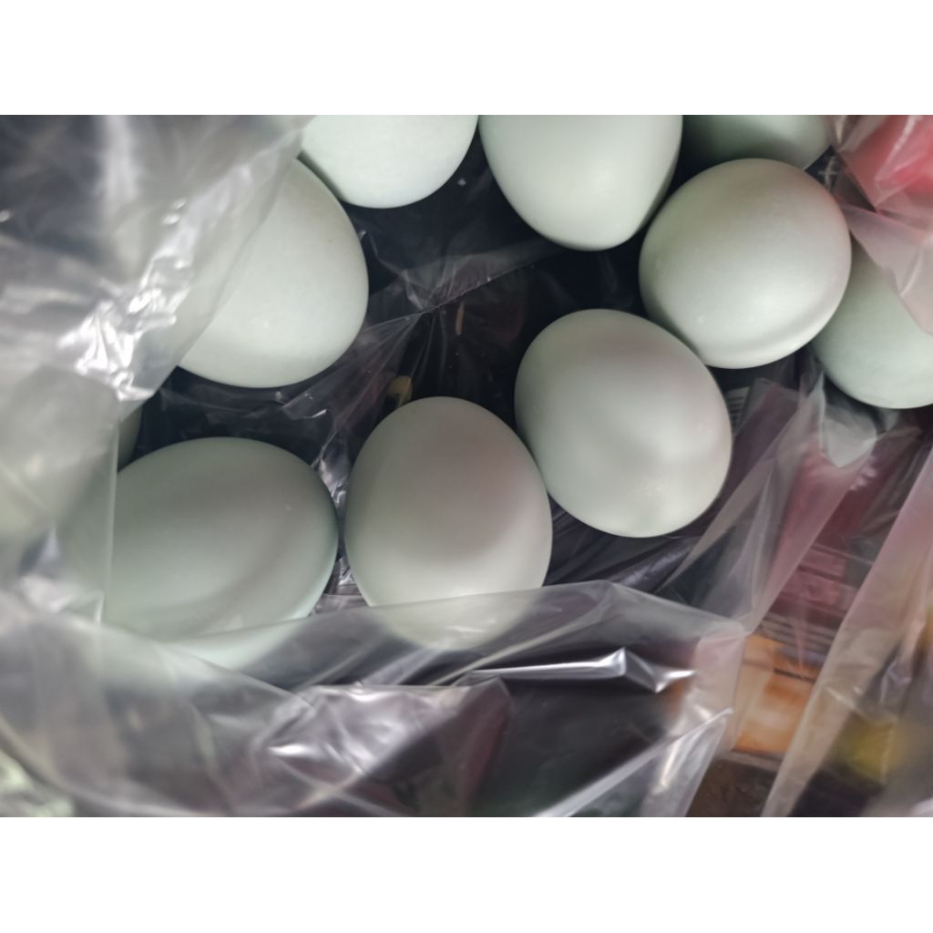 

telur asin matang 1 butir