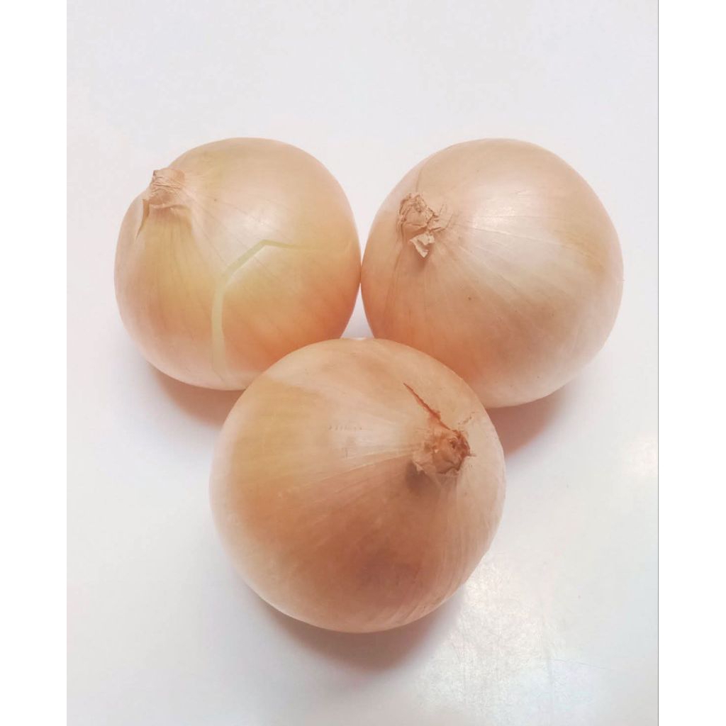 

Bawang bombay 250-500gr