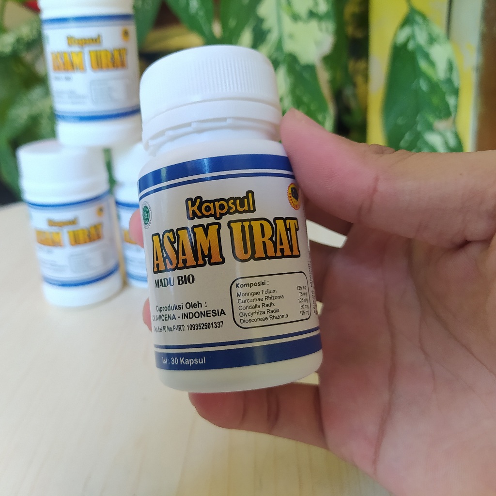 Obat Herbal Asam Urat, Obat Herbal Asam Urat Dan Kolesterol, Obat Rematik Dan Asam Urat Herbal, Obat