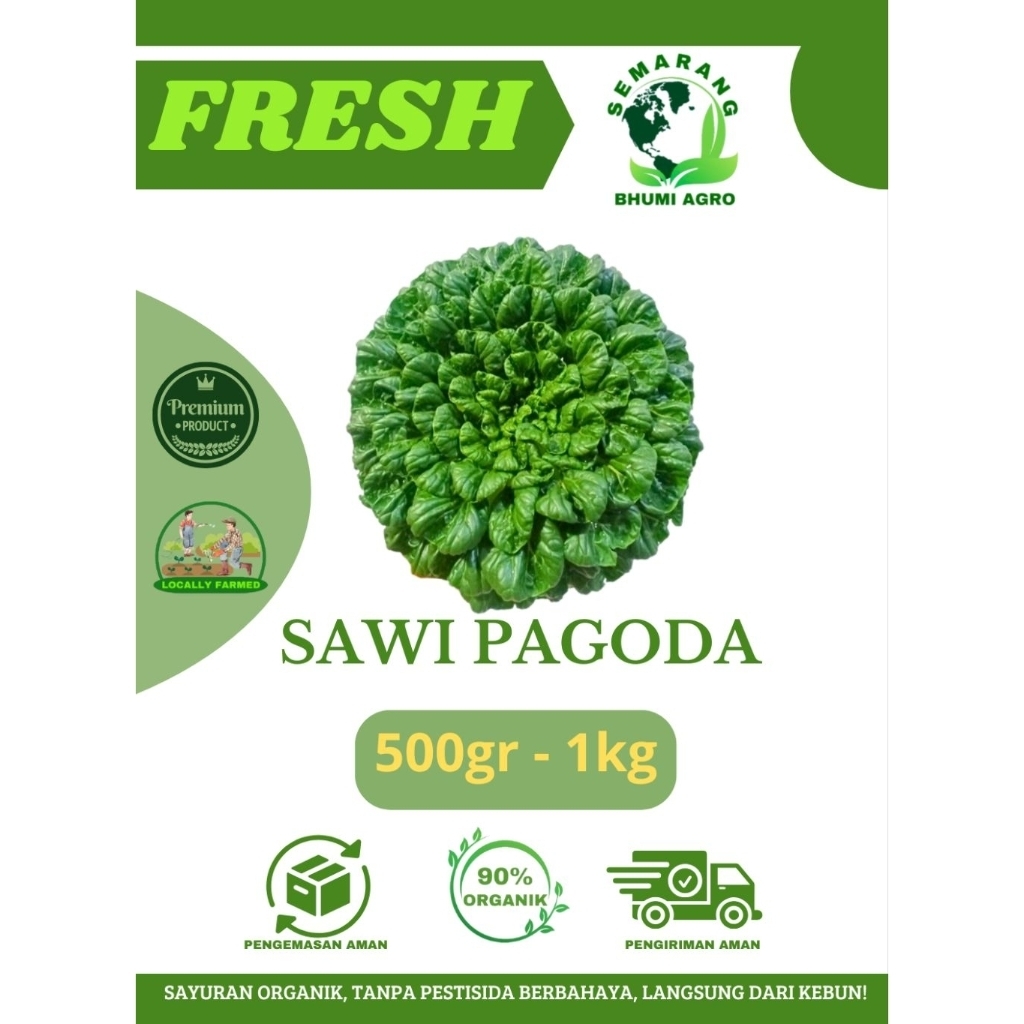 

Sawi Pagoda Segar & Organik ( 500gr - 1kg) | BHUMI AGRO