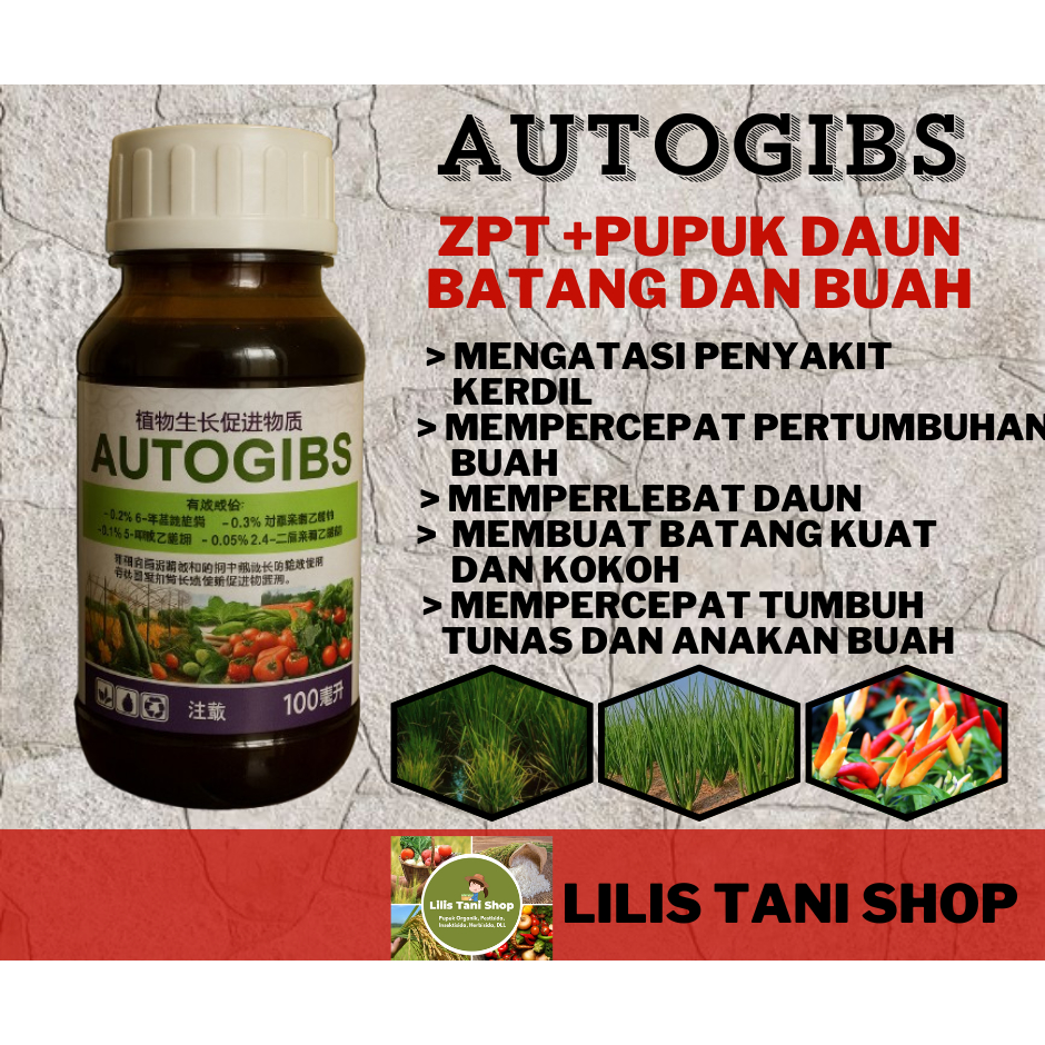 Autogibs ZPT, AUTOGIBS PUPUK MENGOBATI PENYAKIT KERDIL PADI ASAM-ASAMAN DAN PERTUMBUHAN