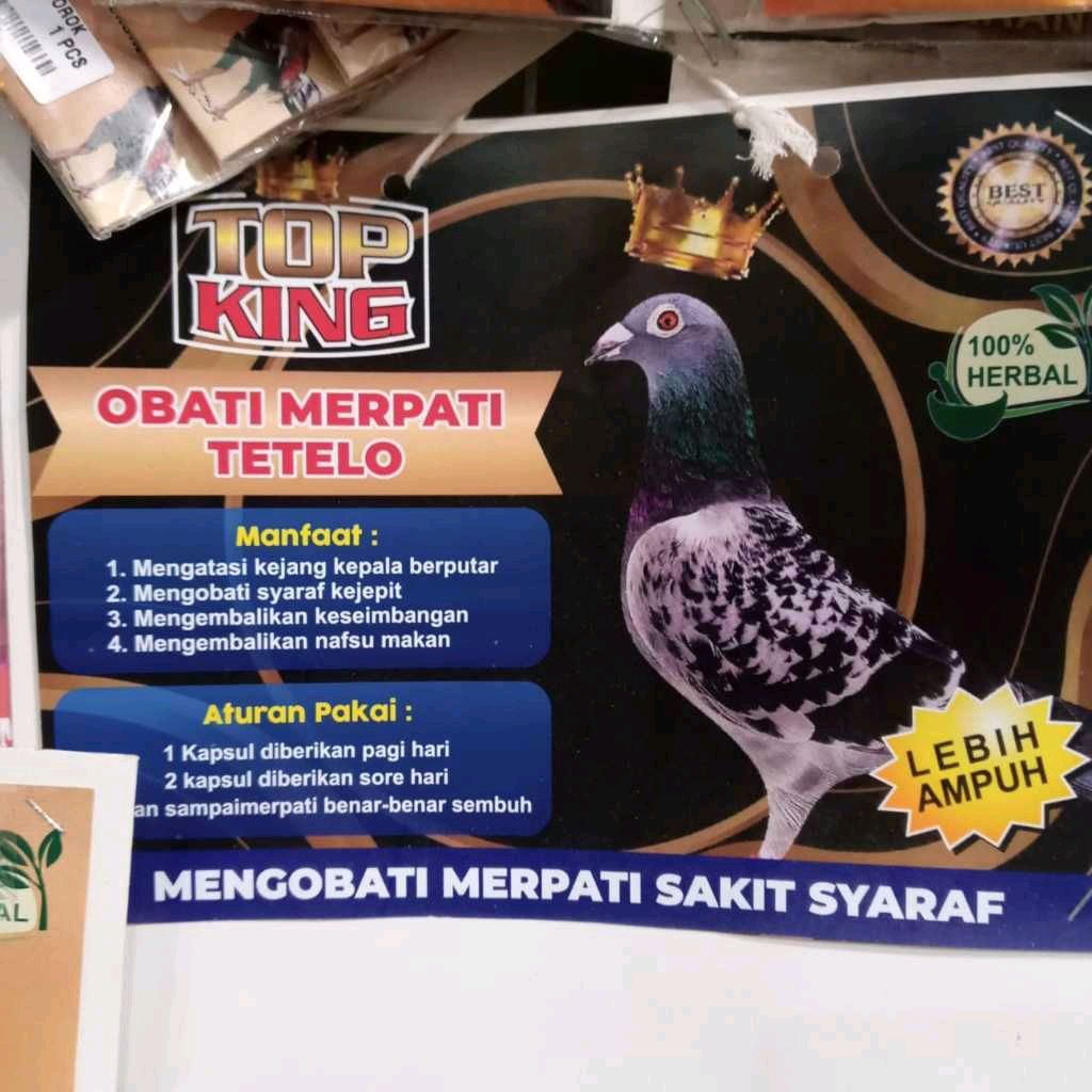 TOP KING MERPATI MENGATASI TETELO PADA BURUNG MERPATI JAMU BURUNG MENGOBATI PERSATUAN SASET