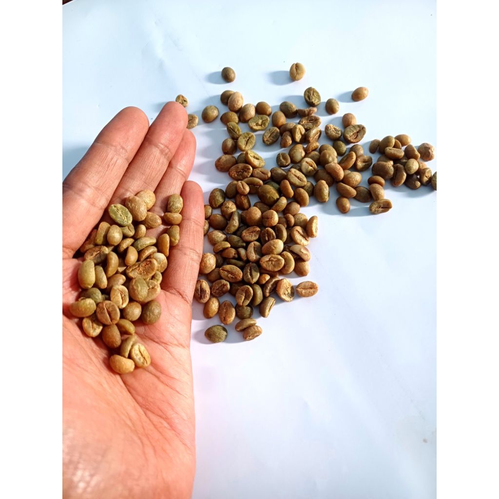 

Biji kopi Robusta / green bean Robusta 500gram Grade 1 honey process