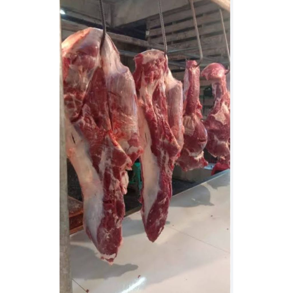 

DAGING KAMBING FRESH