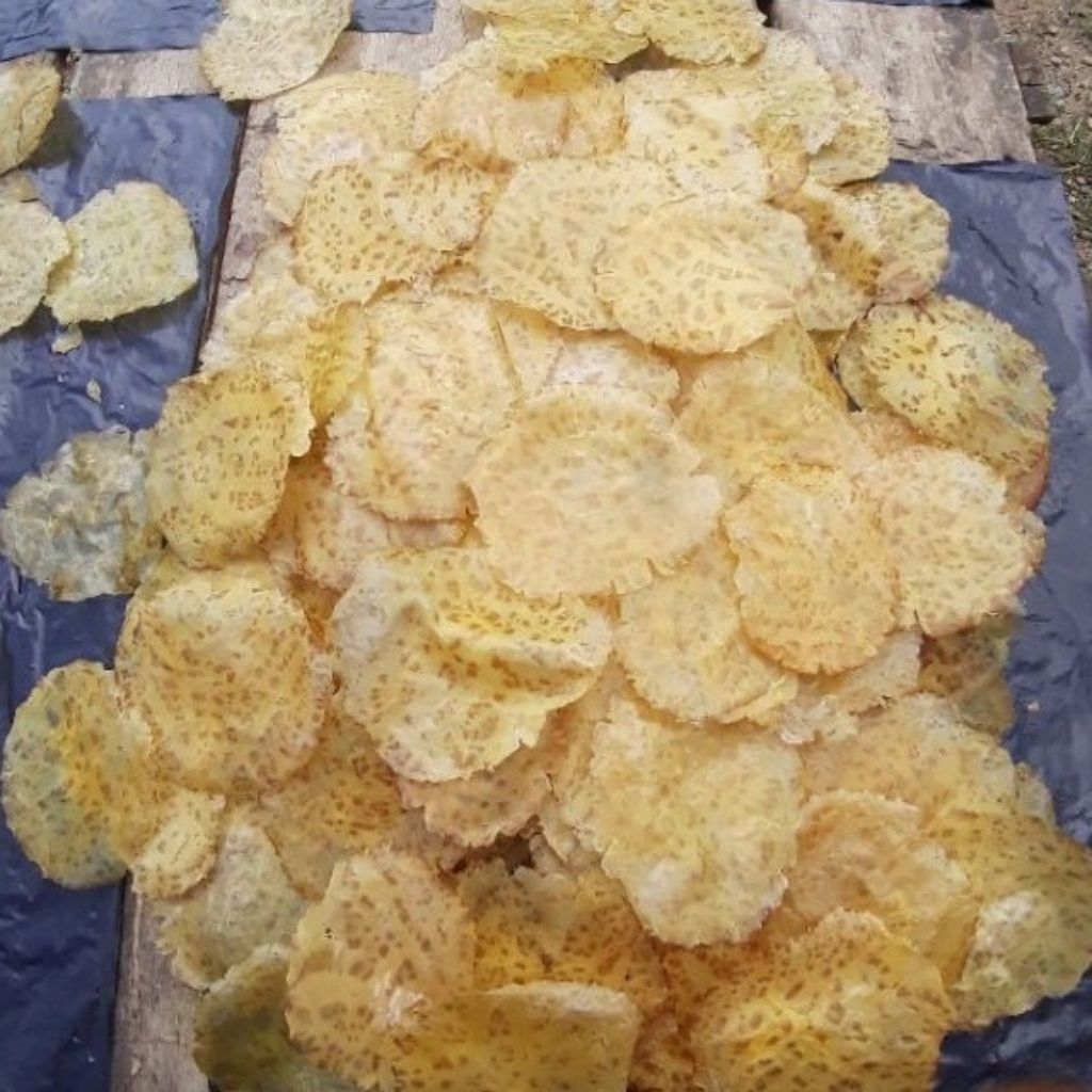 

Kerupuk Jengkol mentah 250 gr Asli Solok sumatera Barat