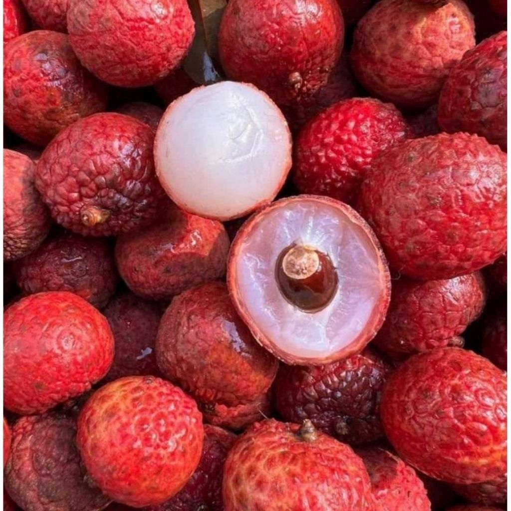 

BUAH LECI MADU /LECHI MANIS